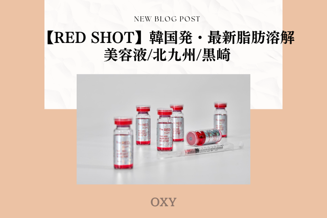 Beige Blush New Blog Post Promotion Instagram Post (8)